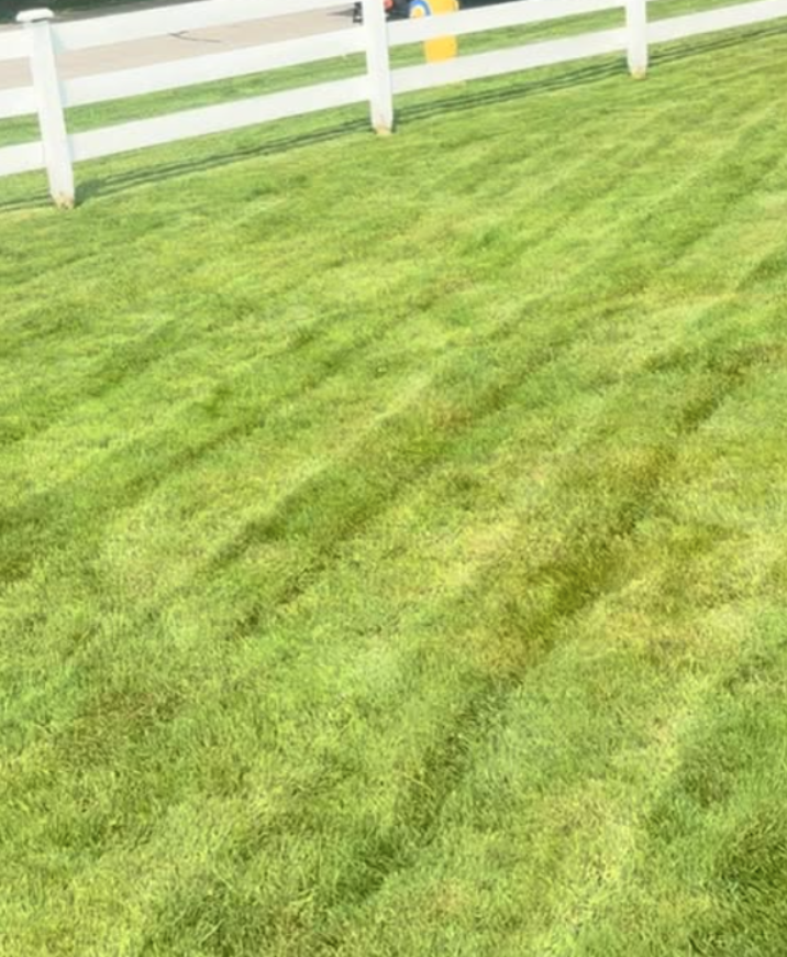 Image 1 of a fully mowed yard